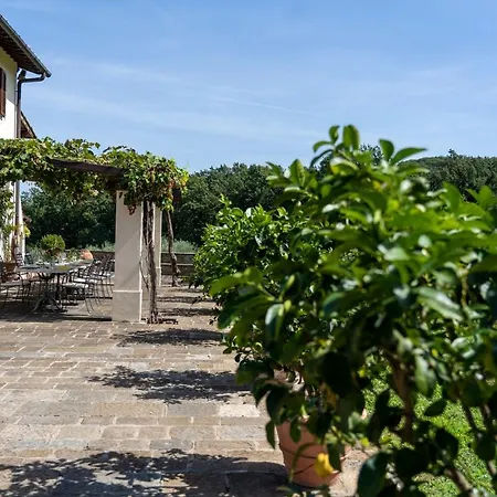 Tenuta Le Viste - Panoramic